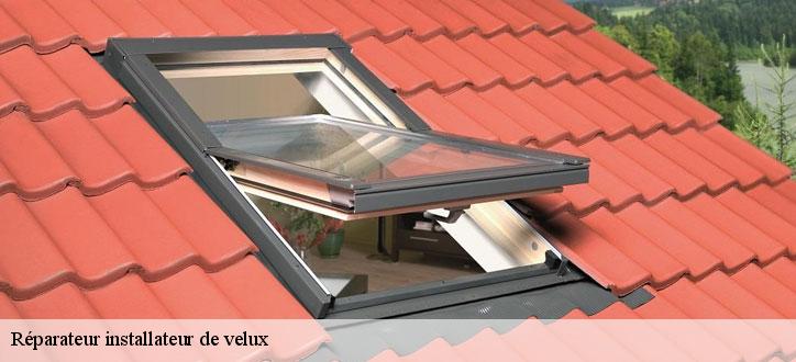Réparateur installateur de velux