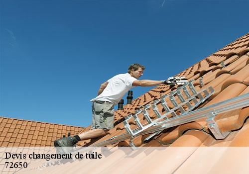 Devis changement de tuile  72650