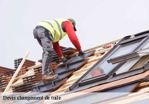 Devis changement de tuile