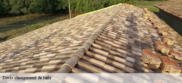 Devis changement de tuile