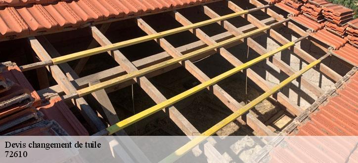 Devis changement de tuile