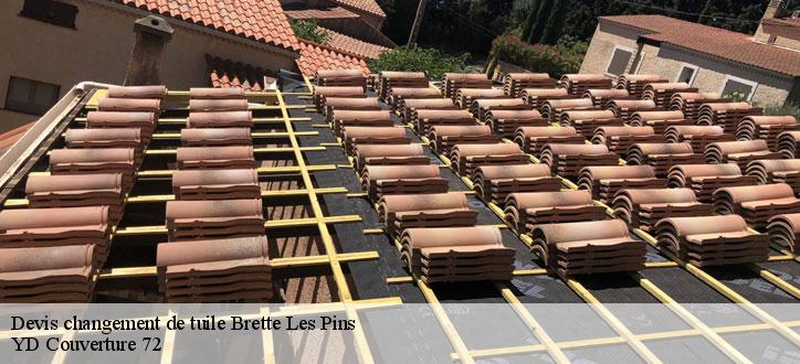 Devis changement de tuile