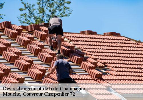 Devis changement de tuile  champagne-72470 Mouche, Couvreur Charpentier 72