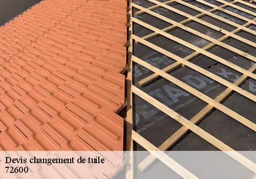 Devis changement de tuile