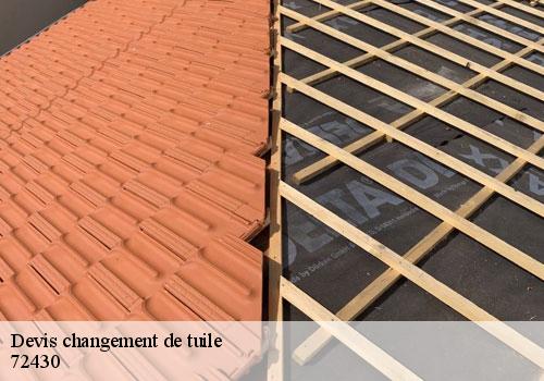 Devis changement de tuile