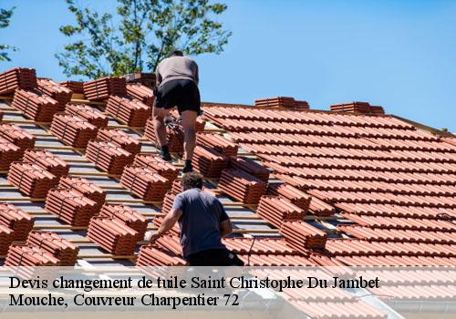 Devis changement de tuile  saint-christophe-du-jambet-72170 Mouche, Couvreur Charpentier 72