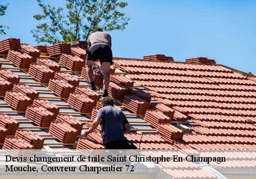 Devis changement de tuile  saint-christophe-en-champagn-72540 Mouche, Couvreur Charpentier 72