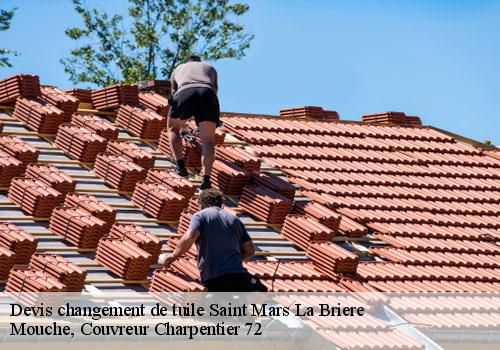 Devis changement de tuile saint-mars-la-briere-72470 Mouche, Couvreur Charpentier 72