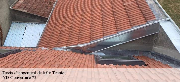 Devis changement de tuile