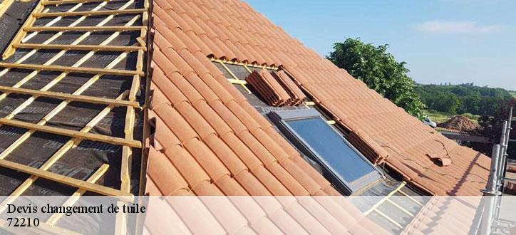 Devis changement de tuile