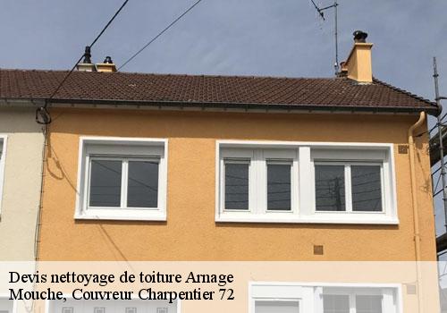 Devis nettoyage de toiture  arnage-72230 Mouche, Couvreur Charpentier 72