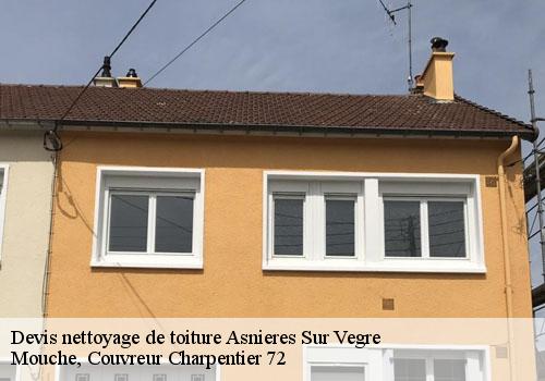 Devis nettoyage de toiture  asnieres-sur-vegre-72430 Mouche, Couvreur Charpentier 72