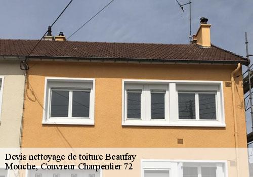 Devis nettoyage de toiture  beaufay-72110 Mouche, Couvreur Charpentier 72