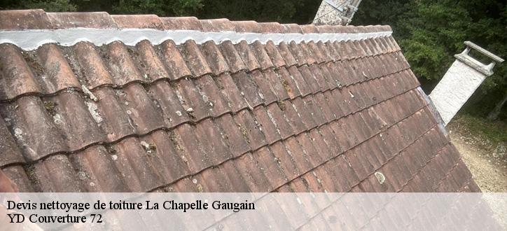 Devis nettoyage de toiture