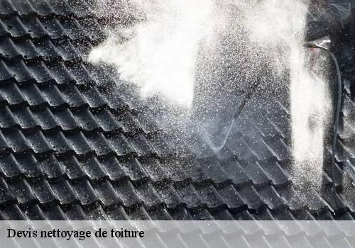 Devis nettoyage de toiture