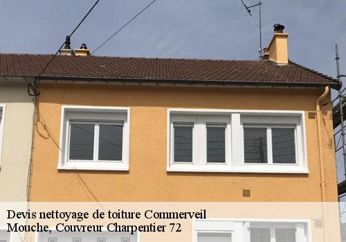 Devis nettoyage de toiture  commerveil-72600 Mouche, Couvreur Charpentier 72