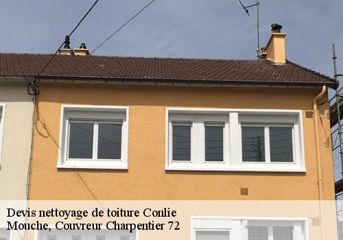 Devis nettoyage de toiture  conlie-72240 Mouche, Couvreur Charpentier 72