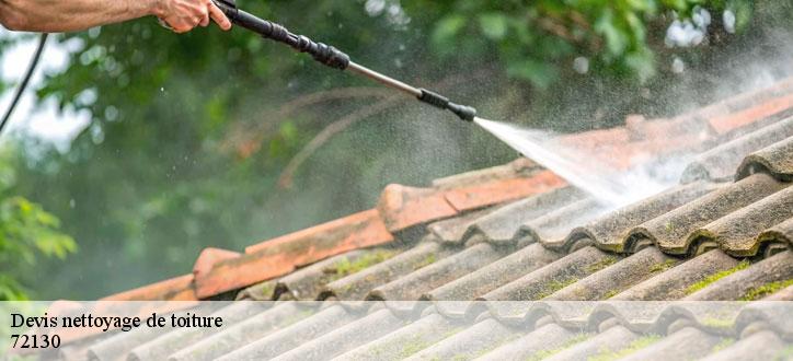 Devis nettoyage de toiture