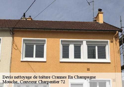 Devis nettoyage de toiture  crannes-en-champagne-72540 Mouche, Couvreur Charpentier 72