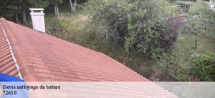 Devis nettoyage de toiture