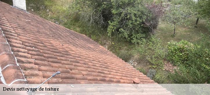 Devis nettoyage de toiture