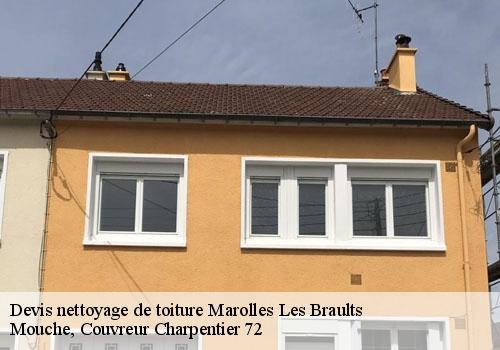 Devis nettoyage de toiture  marolles-les-braults-72260 Mouche, Couvreur Charpentier 72