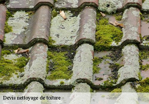 Couvreur charpentier