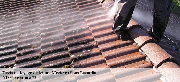 Devis nettoyage de toiture