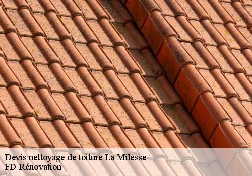 Devis nettoyage de toiture