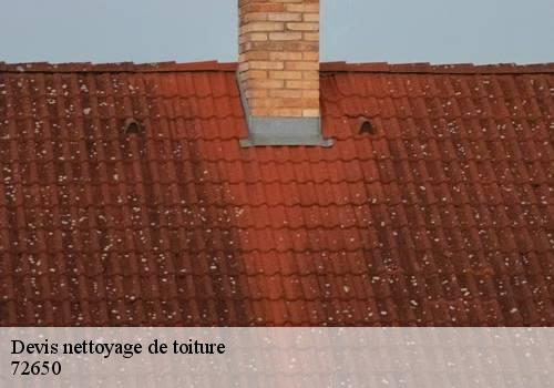 Devis nettoyage de toiture