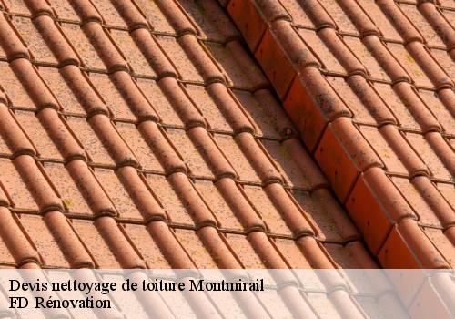 Devis nettoyage de toiture