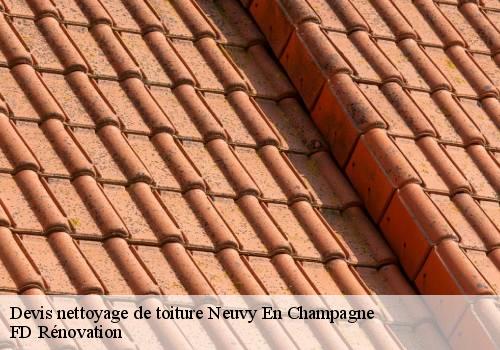 Devis nettoyage de toiture