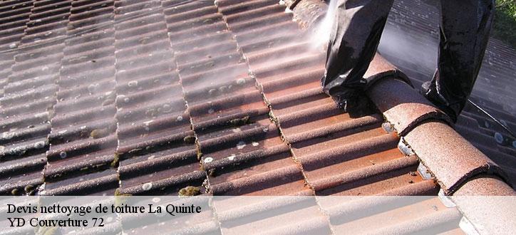 Devis nettoyage de toiture