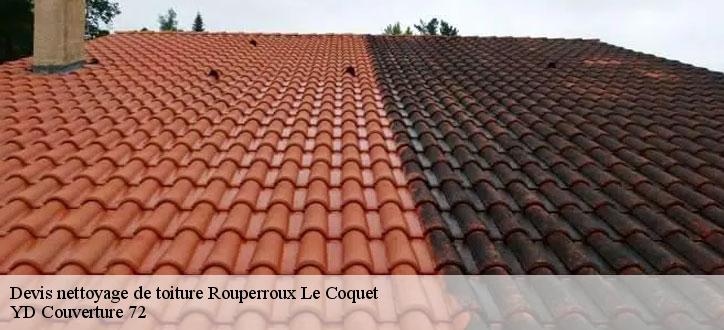 Devis nettoyage de toiture