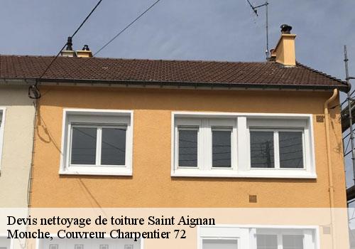 Devis nettoyage de toiture  saint-aignan-72110 Mouche, Couvreur Charpentier 72