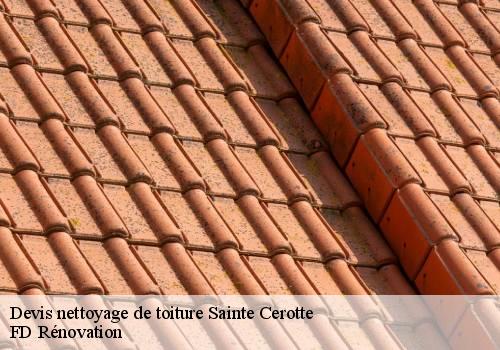 Devis nettoyage de toiture