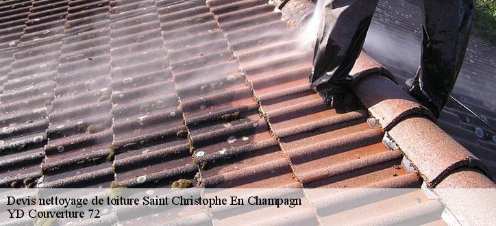 Devis nettoyage de toiture