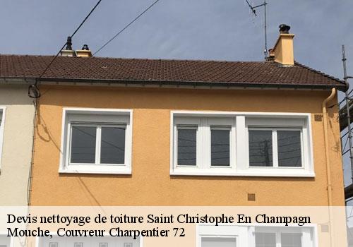 Devis nettoyage de toiture  saint-christophe-en-champagn-72540 Mouche, Couvreur Charpentier 72