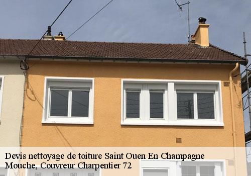 Devis nettoyage de toiture  saint-ouen-en-champagne-72350 Mouche, Couvreur Charpentier 72