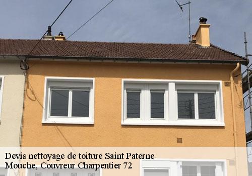 Devis nettoyage de toiture saint-paterne-72610 Mouche, Couvreur Charpentier 72