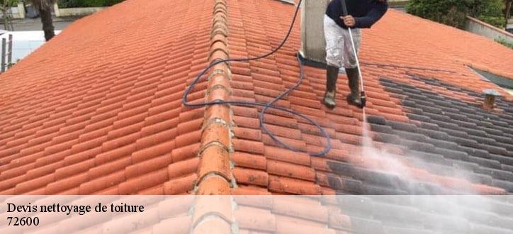 Devis nettoyage de toiture