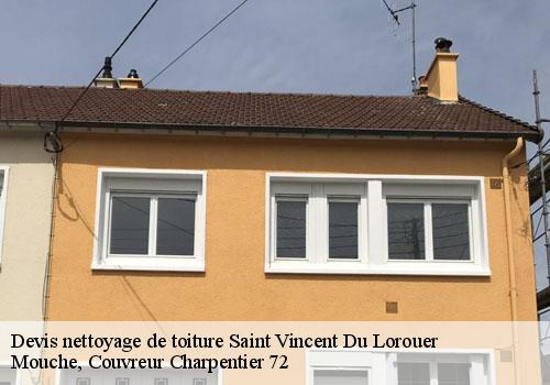 Devis nettoyage de toiture  saint-vincent-du-lorouer-72150 Mouche, Couvreur Charpentier 72
