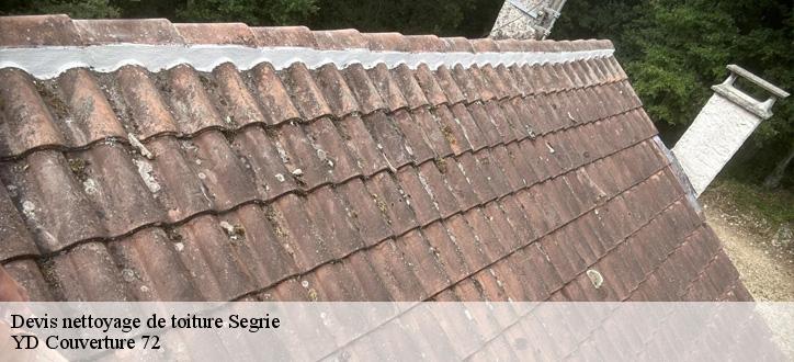 Devis nettoyage de toiture