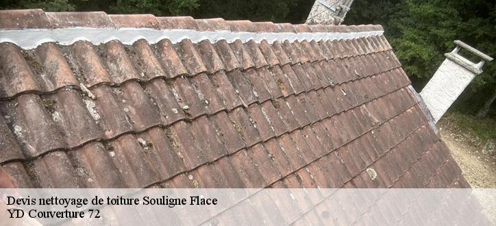 Devis nettoyage de toiture