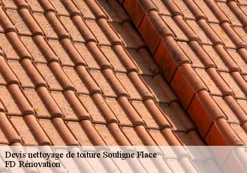 Devis nettoyage de toiture