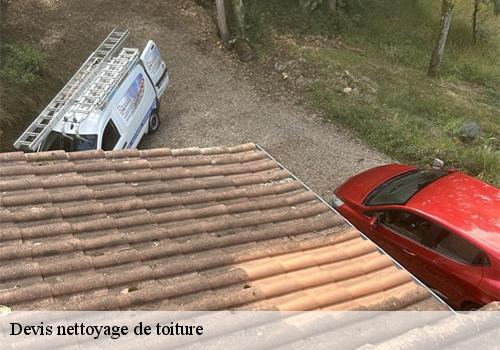 Couvreur charpentier