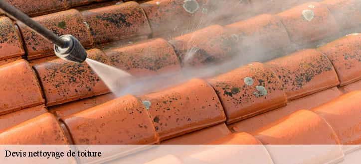 Devis nettoyage de toiture