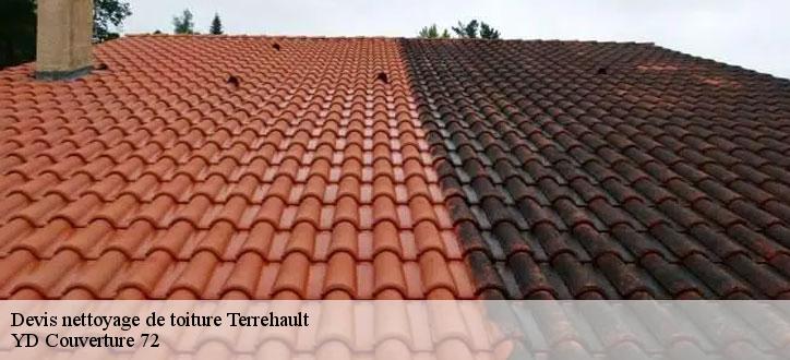 Devis nettoyage de toiture