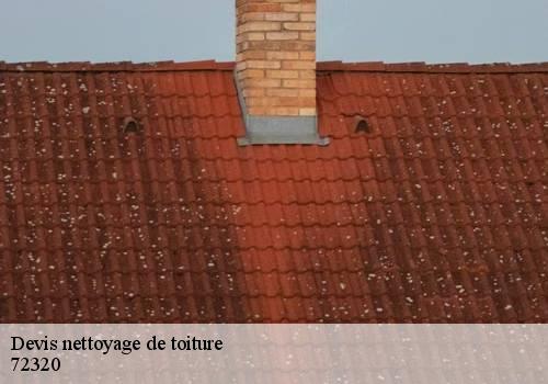 Devis nettoyage de toiture