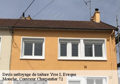 Devis nettoyage de toiture  yvre-l-eveque-72530 Mouche, Couvreur Charpentier 72
